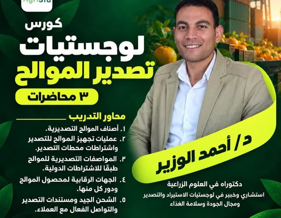 لوجستيات تصدير الموالح
