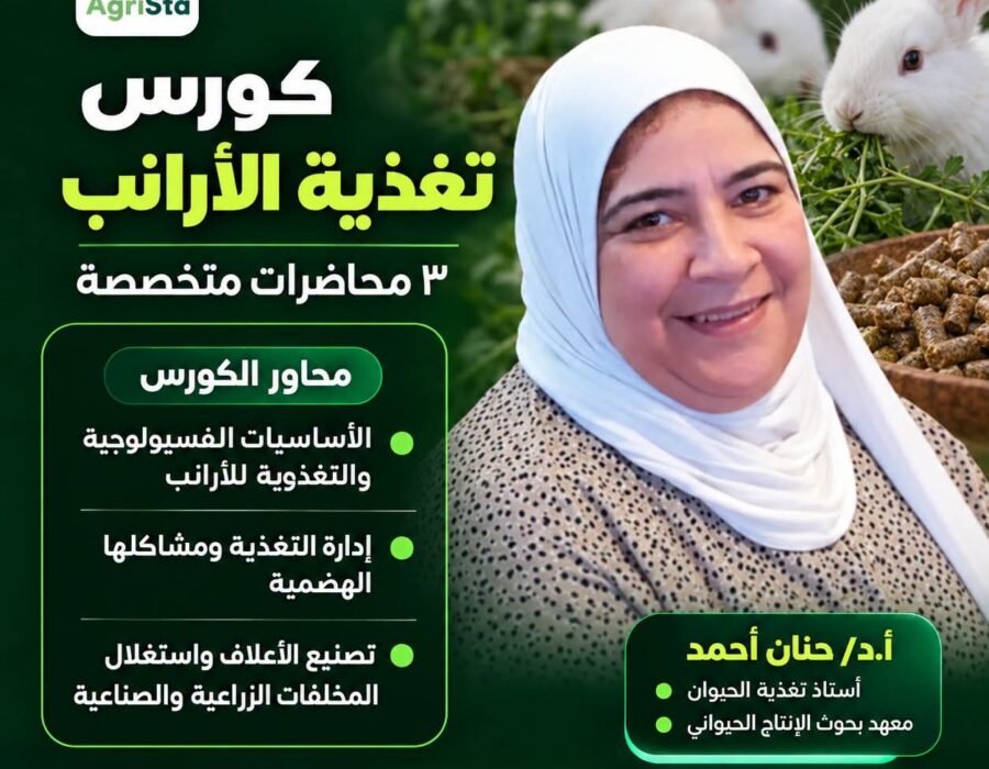 تغذية الأرانب
