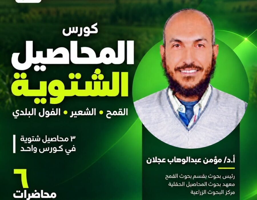 المحاصيل الشتوية “القمح والشعير والفول البلدي”