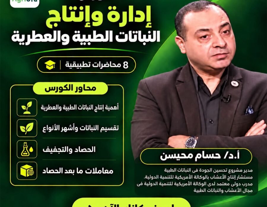 إدارة وإنتاج النباتات الطبية والعطرية
