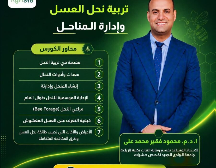 تربية نحل العسل وإدارة المناحل