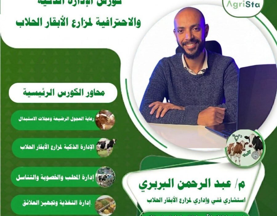 الإدارة الذكية والاحترافية لمزارع الأبقار الحلاب