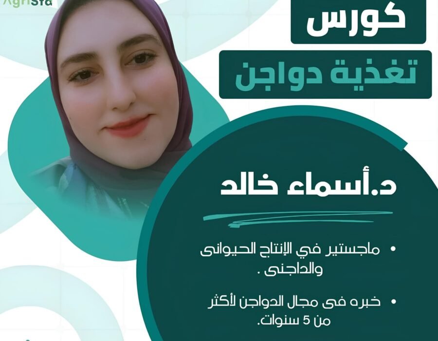 تغذية الدواجن