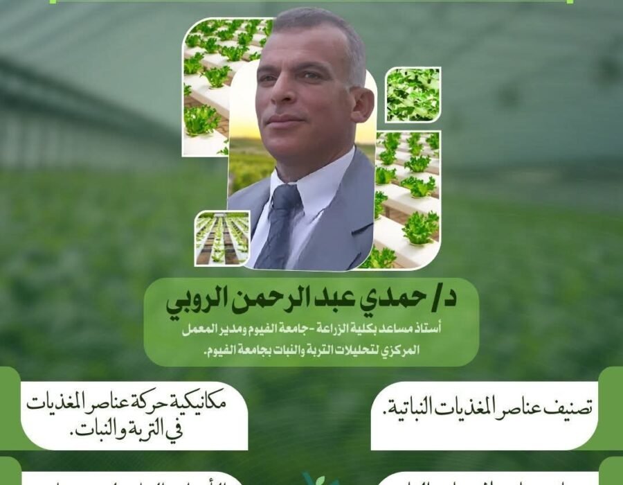 مبادئ تغذية النبات