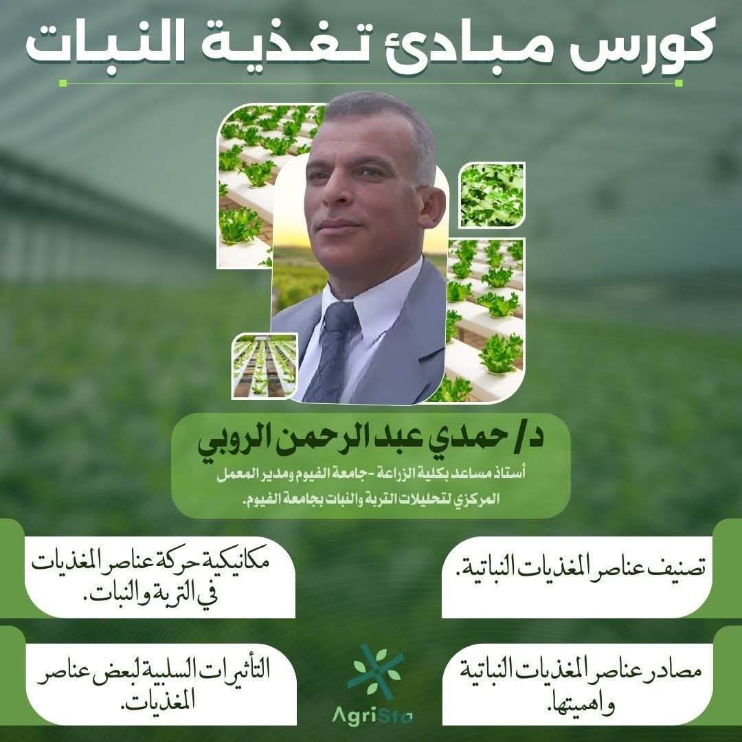 مبادئ تغذية النبات